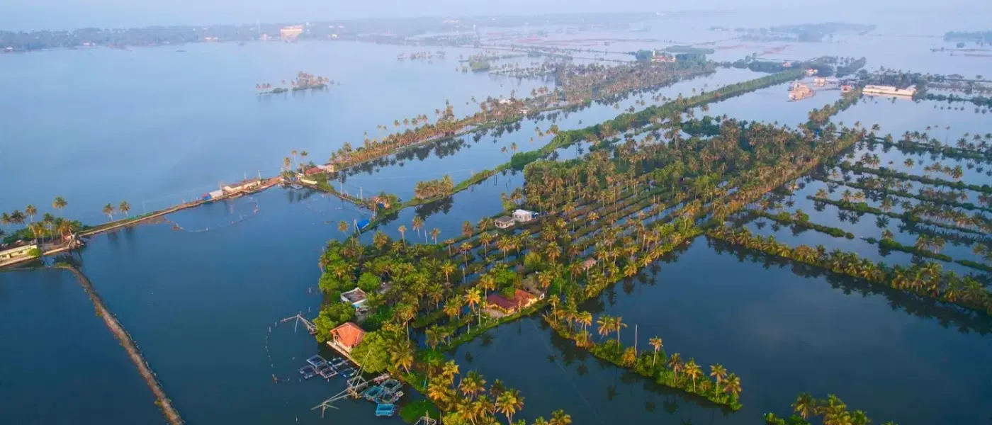 Kayaking in Kochi Kumbalangi Backwater with Canoe ride and Dinner on Island - Professional tour experience with Oberon Tours