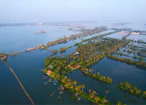 Kayaking in Kochi Kumbalangi Backwater with Canoe ride and Dinner on Island Kayaking in Kochi Kumbalangi Backwater with Canoe ride and Dinner on Island - Premium vacation packages from Oberon Tours
