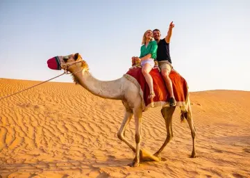 Camel Ride on the Dubai Desert with Oberon Tours
