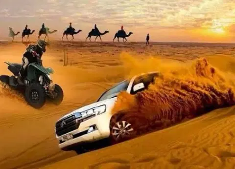 Morning Red Dune Desert Safari Dubai with Quad Bike Adventur - Premium vacation packages from Oberon Tours