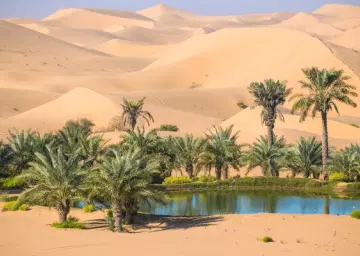 Al Ain Oasis