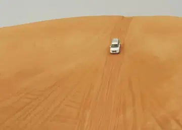 Dubai Desert Safari with Oberon Tours