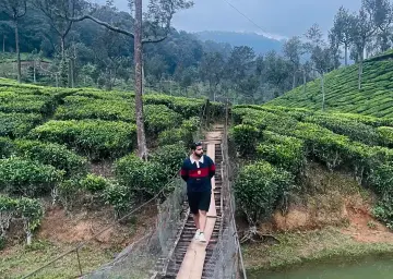 Munnar Tea Garden and Lake with Oberon Tours&Travels 