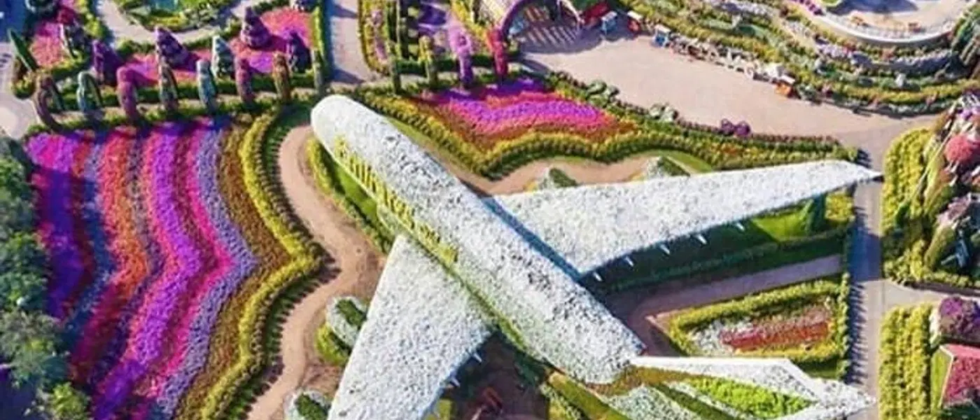 Modern Dubai City Tour with Miracle Garden Tickets – Best Dubai Sightseeing Experience - Explore stunning destinations Modern Dubai City Tour with Miracle Garden Tickets – Best Dubai Sightseeing Experience - Professional tour experience with Oberon Tours