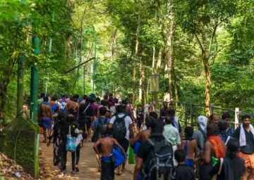 Pamba
