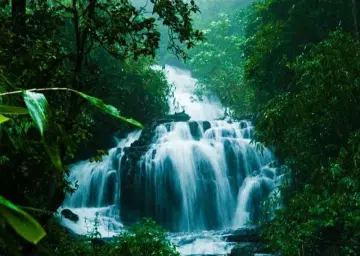 Wayanad Waterfalls 