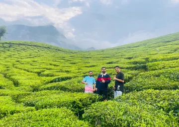 Munnar Tea Garden Voew
