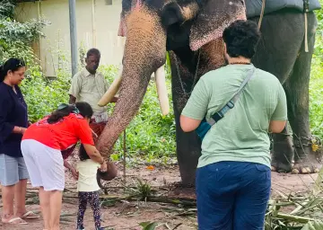Elephant Ride Munnar