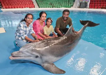 Dubai Dolphin Show & Tech Dolphin 