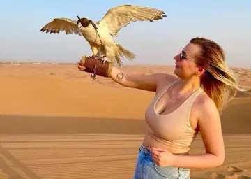 Dubai Desert Falcon photo