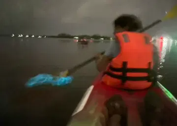 Kumbalangi Kochi Bioluminescence