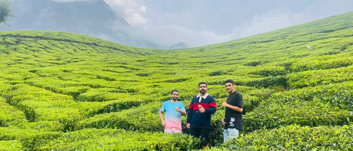 Munnar Sightseeing Tour from Munnar – Best One Day Local Tour - Explore stunning destinations Munnar Sightseeing Tour from Munnar – Best One Day Local Tour - Professional tour experience with Oberon Tours