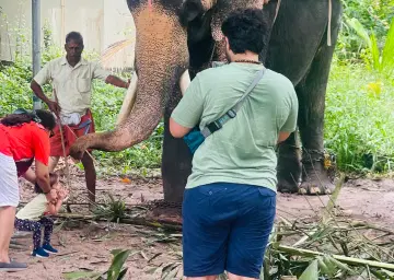 Elephant Ride in Munnar