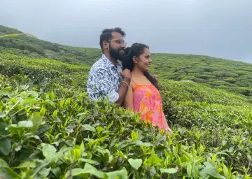 Munnar Tea Garden View