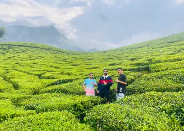 Munnar Garden