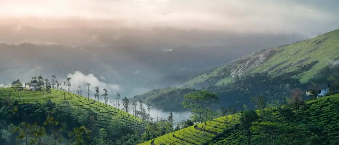 2 Days Vagamon Tour from Kochi – Vagamon Tour Package - Explore stunning destinations 2 Days Vagamon Tour from Kochi – Vagamon Tour Package - Professional tour experience with Oberon Tours