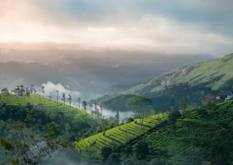 2 Days Vagamon Tour from Kochi – Vagamon Tour Package 2 Days Vagamon Tour from Kochi – Vagamon Tour Package - Premium vacation packages from Oberon Tours