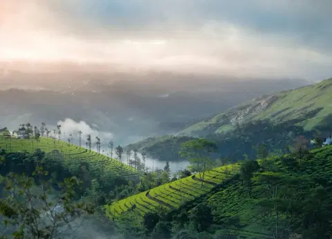 2 Days Vagamon Tour from Kochi – Vagamon Tour Package - Premium vacation packages from Oberon Tours