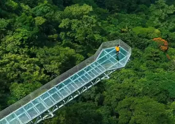 Vagamon Glass Bridge 