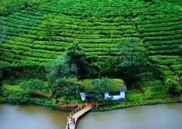 Vagamon Lake view