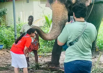 Elephant Ride in Munnar