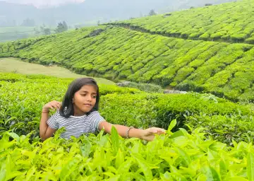 Kerala