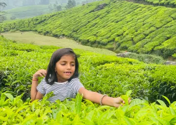 Munnar Tea Garden